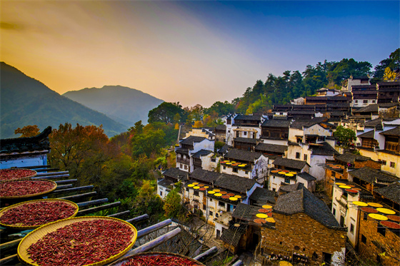 从乡村出发，赴一场开心旅行