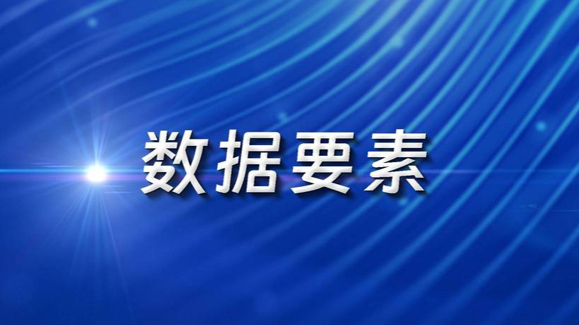 《中国数据要素市场化配置研究报告（2025）》：数据要素有望