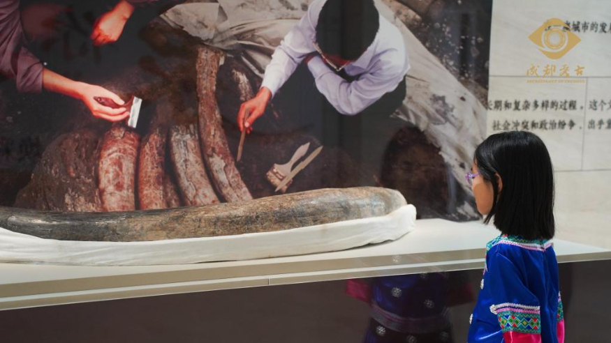 技术突破！文物医生成功“加固”三星堆象牙，国宝终可直面公众