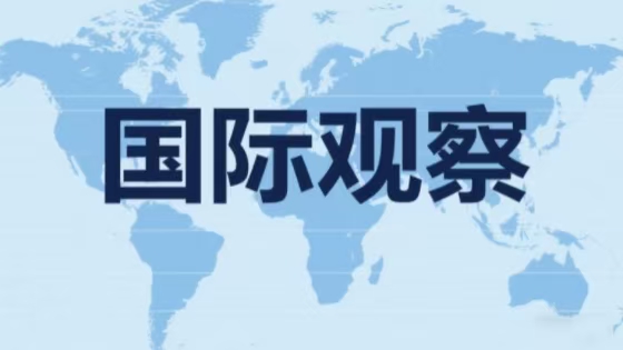 国际观察｜从互降关税到共建规则——中国-东盟经贸合作持续升级