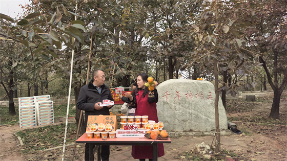 冰柿唱响发展新篇，刘月好原创歌曲《柿界新宠 千年柿香》发布